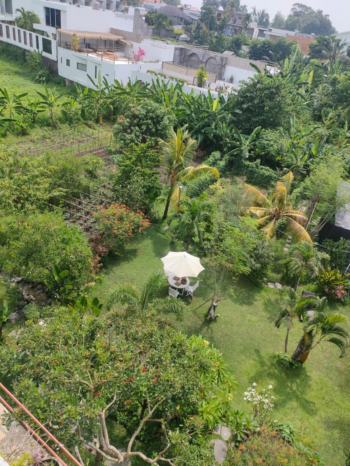 Villa Lotus 8 Canggu Екстериор снимка