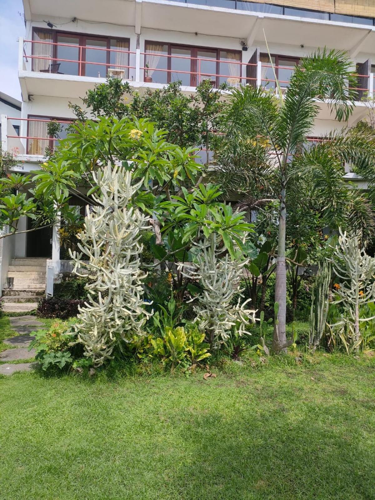 Villa Lotus 8 Canggu Екстериор снимка