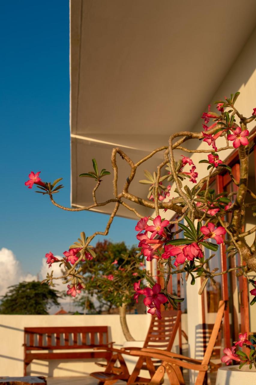 Villa Lotus 8 Canggu Екстериор снимка